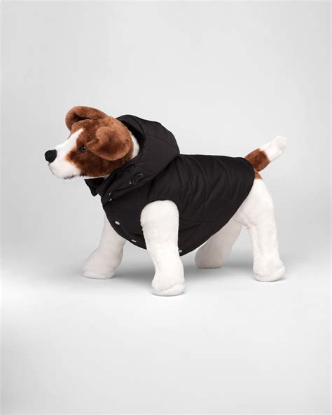 prada dog coat accessories.